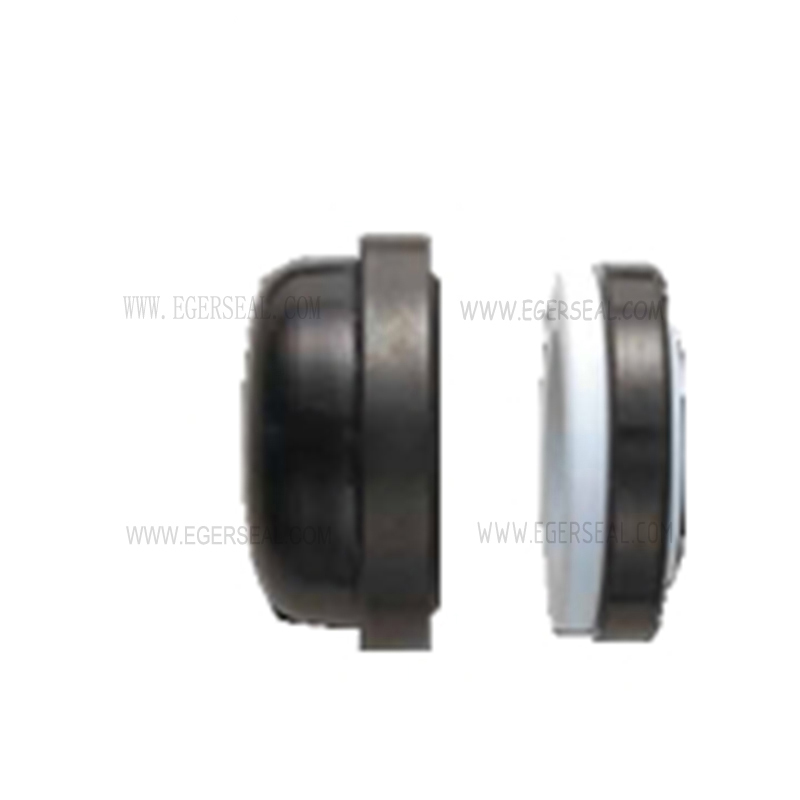 廠(chǎng)家直銷(xiāo)Aesseal安銥矢化工用B0H機(jī)械密封